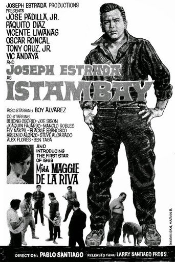 Istambay movie poster