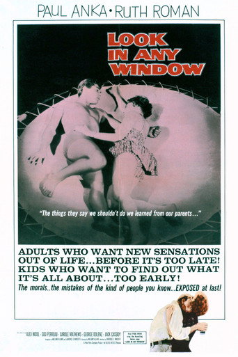 Look in Any Window movie poster