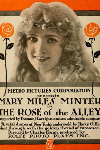 Rose of the Alley movie poster