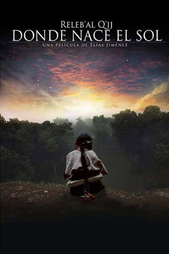 Where the Sun is Born movie poster