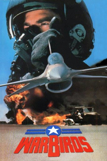 Warbirds movie poster