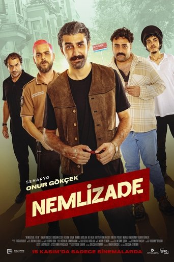 Nemlizade movie poster