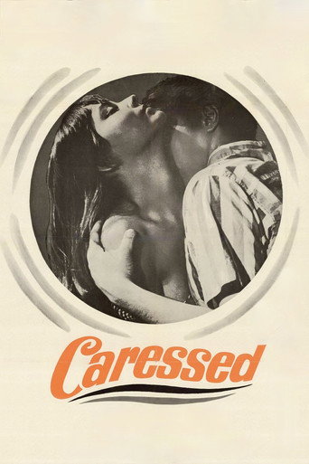 Sweet Substitute movie poster