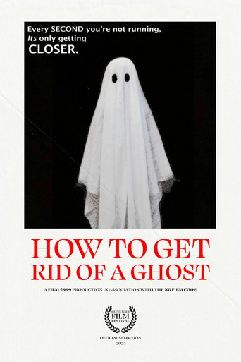 How To Get Rid of a Ghost movie poster