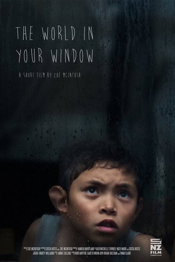The World In Your Window movie poster