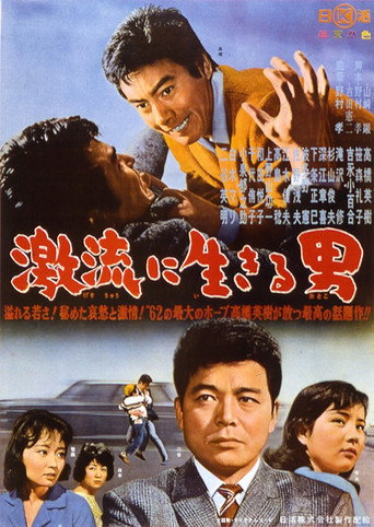 A Torrent of Life movie poster