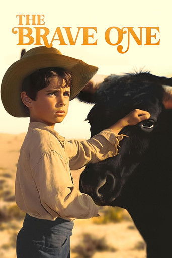 The Brave One movie poster