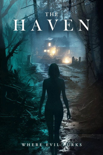 The Haven movie poster