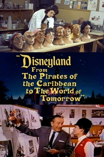 Disneyland: From the Pirates of the Caribbean to the World of Tomorrow movie poster