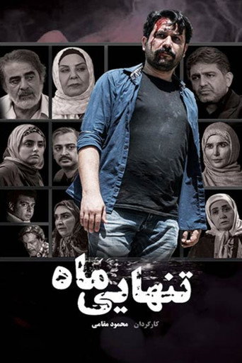 The Loneliness of the Moon movie poster
