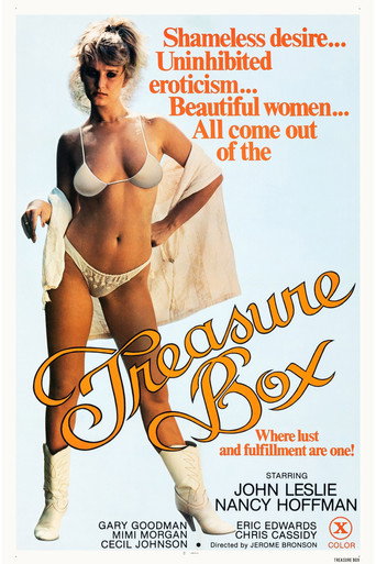 The Treasure Box movie poster