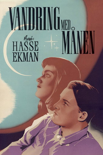 Wandering with the Moon movie poster