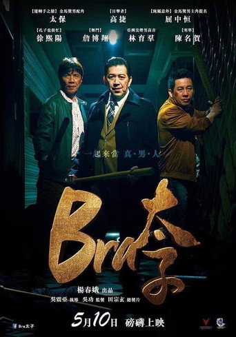 Gang of Bra movie poster