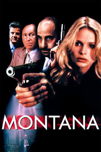 Montana movie poster