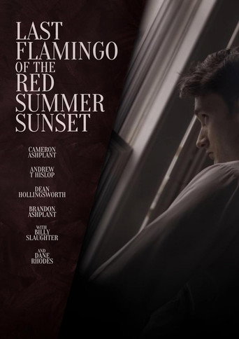 Last Flamingo of the Red Summer Sunset movie poster