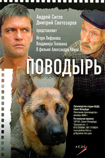 Guide movie poster