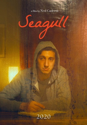 Seagull movie poster