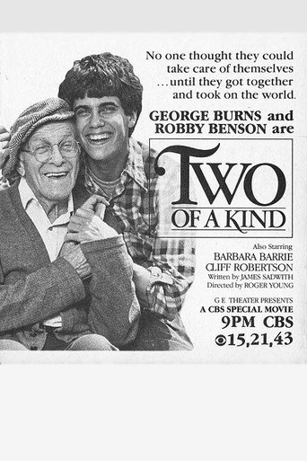 Two of a Kind movie poster