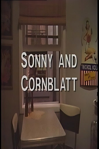 Sonny and Cornblatt movie poster