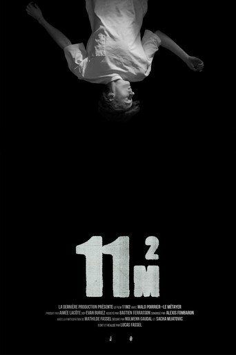 11m2 movie poster