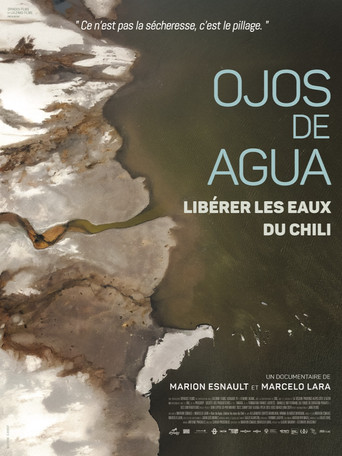 Ojos de Agua: Freeing the Waters of Chile movie poster