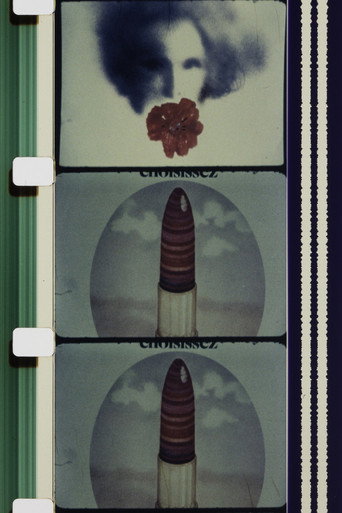 C'est Fou ! movie poster