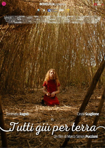 Tutti giù per terra movie poster