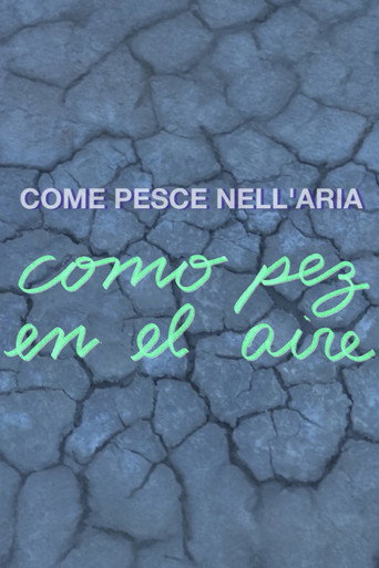 Como pez en el aire movie poster