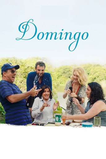 Domingo movie poster