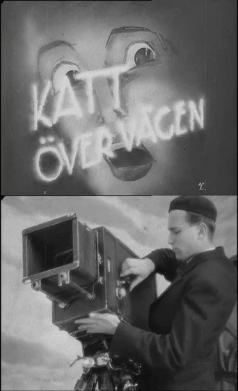Cat Across the Road movie poster