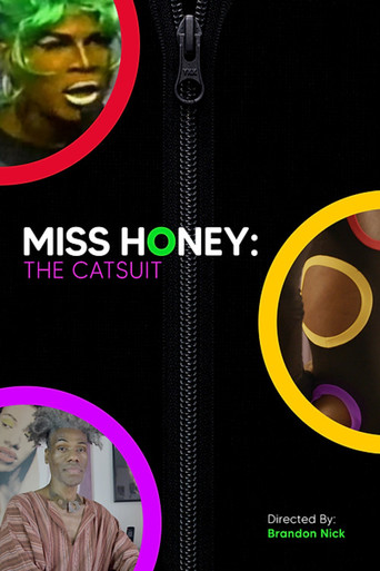 Miss Honey: The Catsuit movie poster