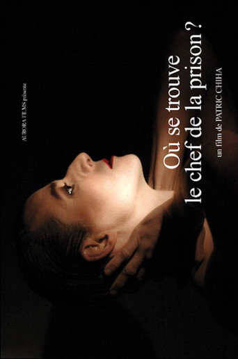 Where Is the Head of the Prison? movie poster