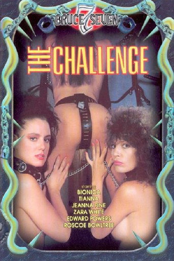 The Challenge movie poster