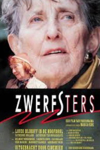 Zwerfsters movie poster