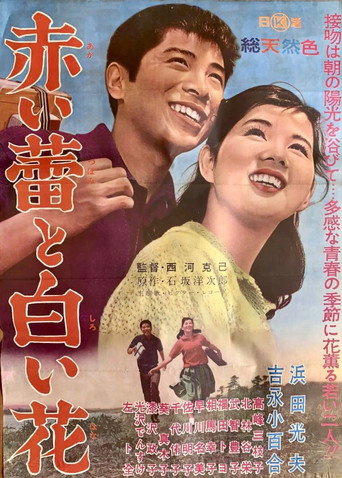 Red Bud and White Flower movie poster