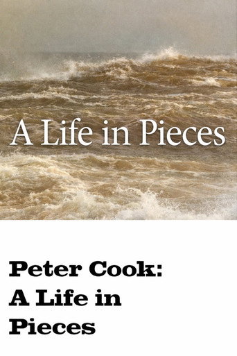 A Life in Pieces movie poster