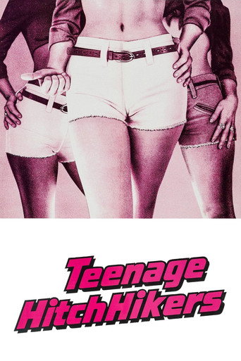 Teenage Hitchhikers movie poster