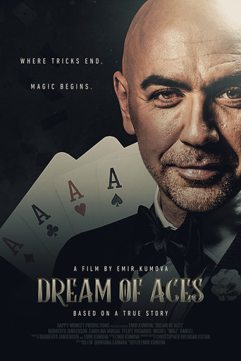 Dream of Aces movie poster