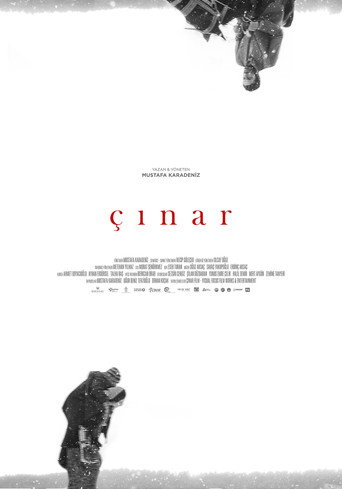 Plane Tree movie poster