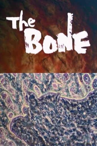 THE BONE movie poster
