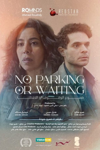 No Parking or Waiting movie poster
