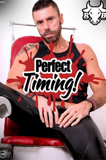 Perfect Timing movie poster