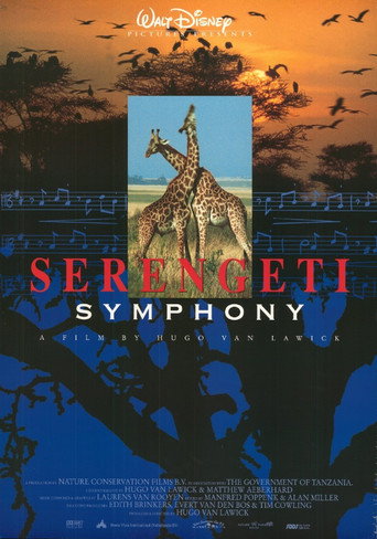 Serengeti Symphony movie poster
