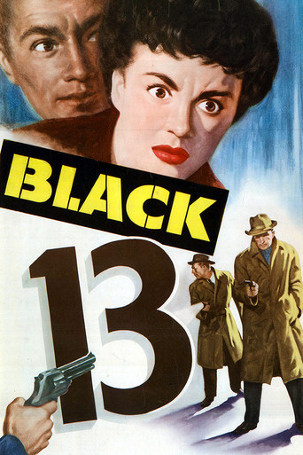 Black 13 movie poster