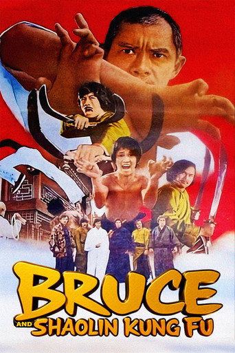 Bruce and Shaolin Kung Fu movie poster