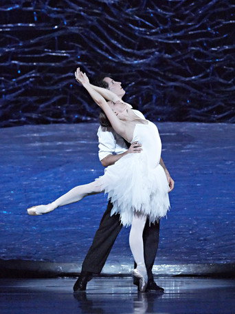 Graeme Murphy's Swan Lake movie poster