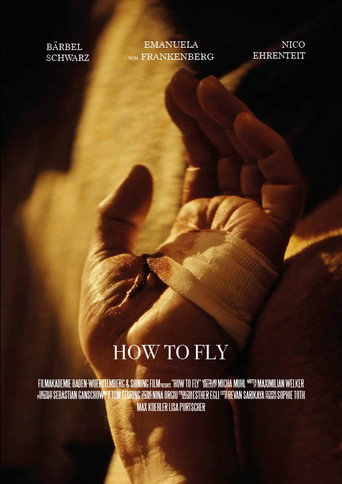 How to Fly movie poster