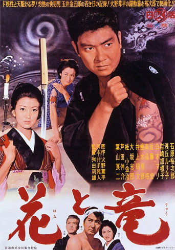 A Man With Dragon Tattoos movie poster