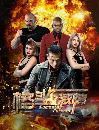 格斗与激情 movie poster