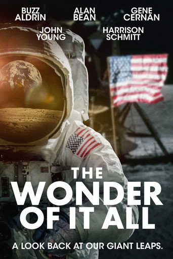 The Wonder of It All movie poster